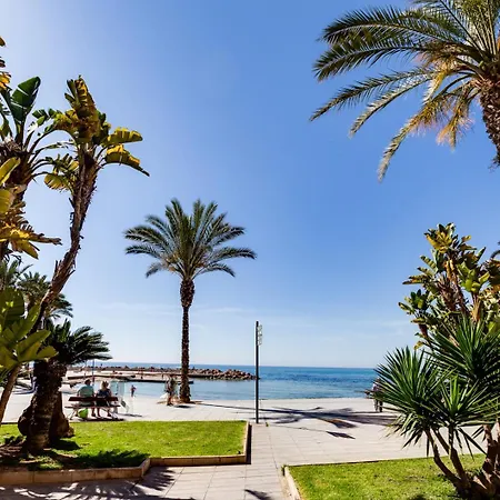 Modern Bergantin Torrevieja